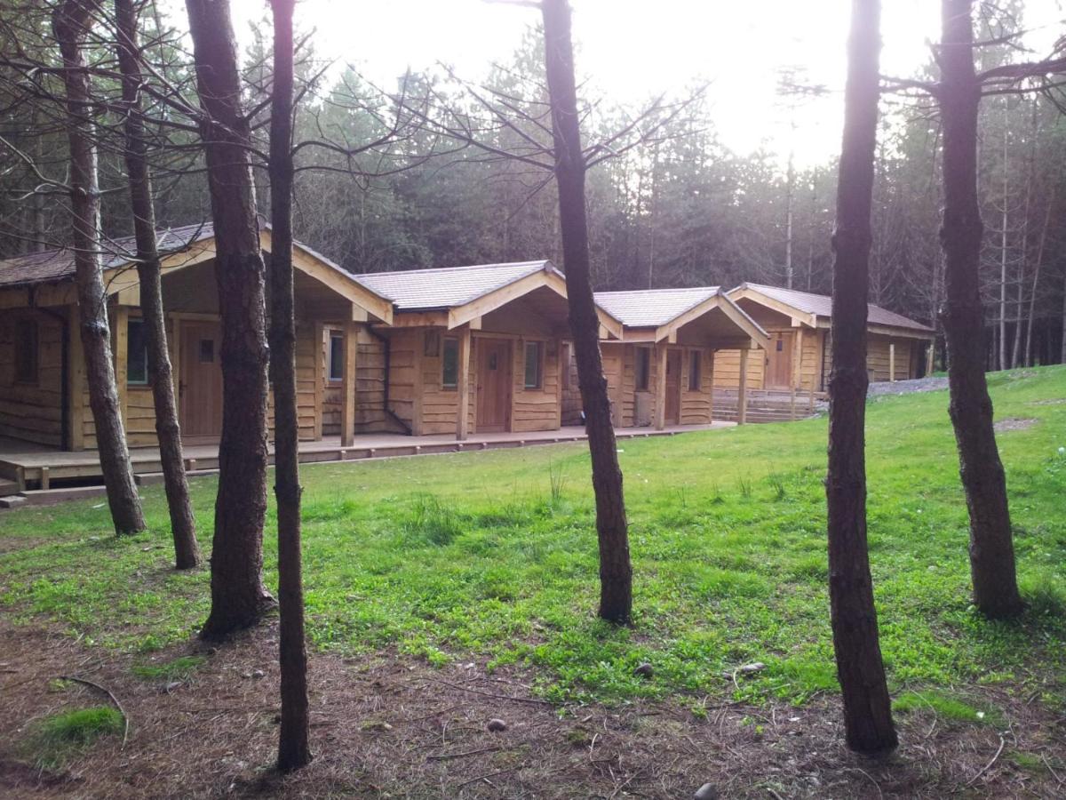 Wyldwood Lodge Cheadle  Exterior photo